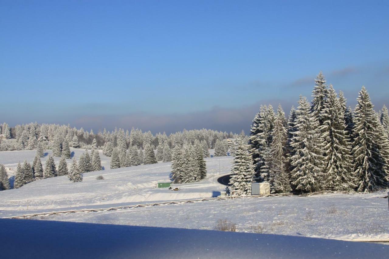 Silver Mountain بويانا براسوف المظهر الخارجي الصورة