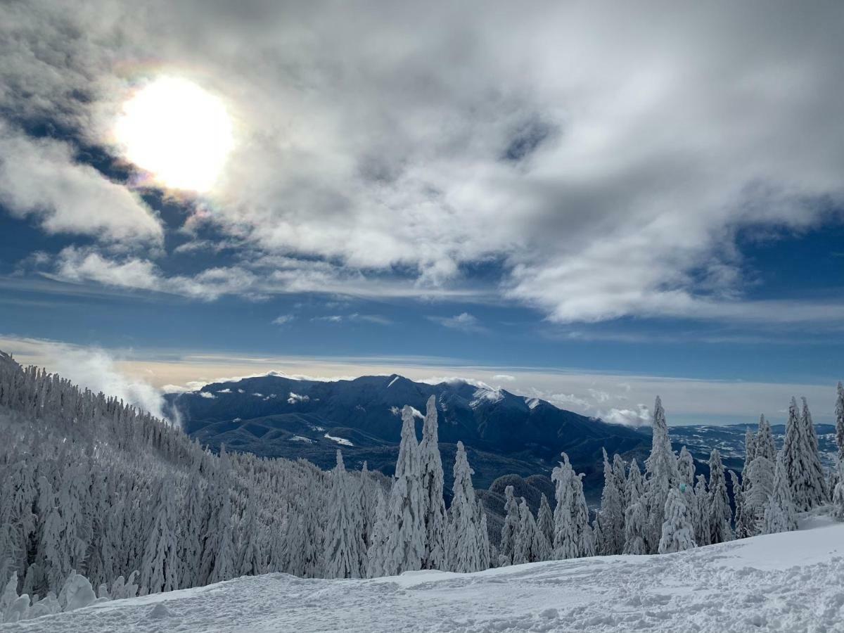 Silver Mountain بويانا براسوف المظهر الخارجي الصورة