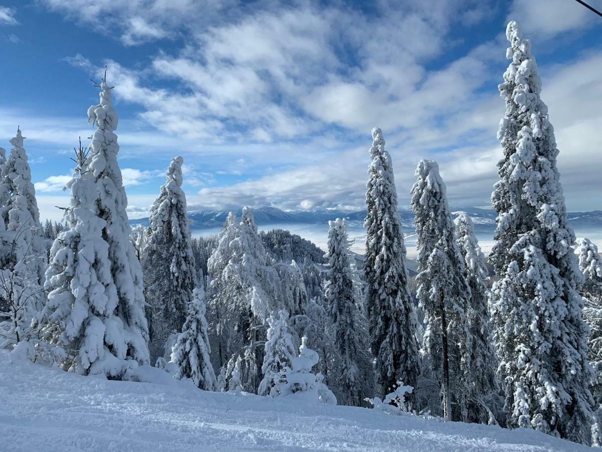 Silver Mountain بويانا براسوف المظهر الخارجي الصورة