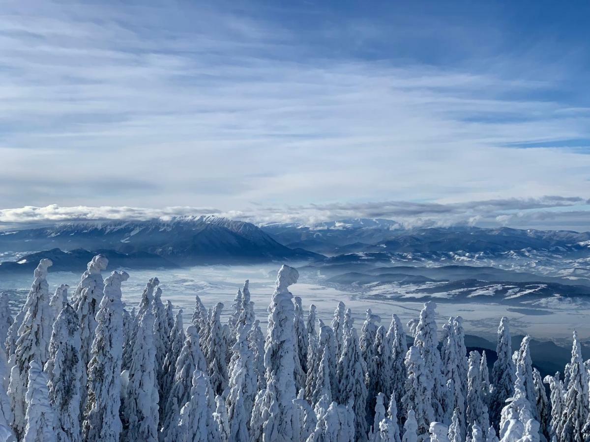 Silver Mountain بويانا براسوف المظهر الخارجي الصورة