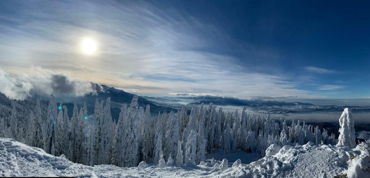 Silver Mountain بويانا براسوف المظهر الخارجي الصورة